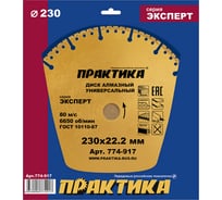 Диск алмазный сегментный Эксперт-Универсал (230х22.2 мм) ПРАКТИКА 774-917 15502667