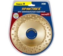 Круг твердосплавный торцевой наклонный (180х22.2 мм) ПРАКТИКА 773-613