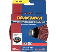 Круг лепестковый полировальный (125 мм; М14) ПРАКТИКА 779-745