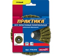Круг лепестковый полировальный (125х22.2 мм; грубый) ПРАКТИКА 779-219