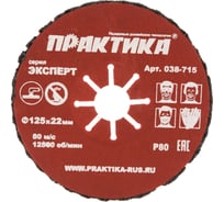 Круг абразивный торцевой (125 мм; Р80) ПРАКТИКА 038-715