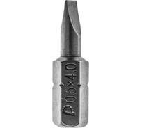 Бита SL 0.5x4 Профи (2 шт; 25 мм) ПРАКТИКА 034-854