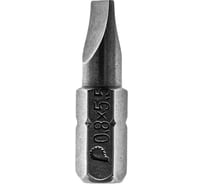 Бита SL 0.8x5.5 Профи (2 шт; 25 мм) ПРАКТИКА 034-878