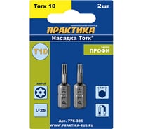 Бита T-10 Профи (2 шт; 25 мм) ПРАКТИКА 776-386