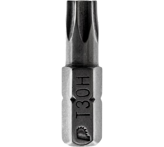 Бита T-30 Профи (2 шт; 25 мм) ПРАКТИКА 776-409