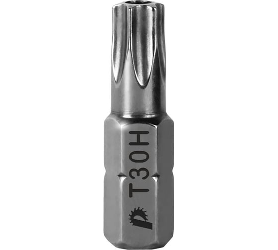 Бита T-30 Профи (2 шт; 25 мм) ПРАКТИКА 776-409
