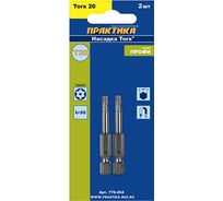 Бита T-20 Профи (2 шт; 50 мм) ПРАКТИКА 776-454
