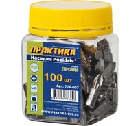 Бита PZ-2 (100 шт; 25 мм) Профи ПРАКТИКА 776-607