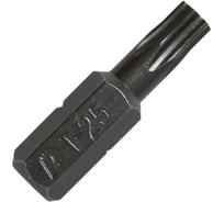 Бита T-25 Профи (20 шт; 25 мм) ПРАКТИКА 036-674