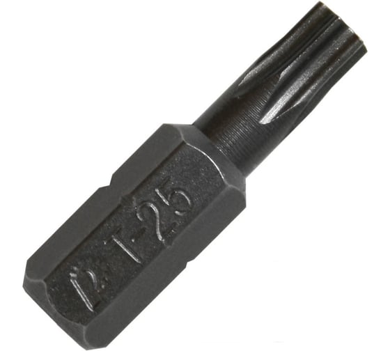 Бита T-25 Профи (20 шт; 25 мм) ПРАКТИКА 036-674 1