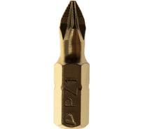 Бита PZ-1 Эксперт (25 мм) ПРАКТИКА 037-039