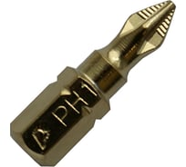 Бита PH-1 Эксперт (20 шт; 25 мм) ПРАКТИКА 036-865