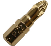 Бита PZ-2 Эксперт (20 шт; 25 мм) ПРАКТИКА 036-902