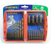 Набор сверл и бит DIY (24 шт) ПРАКТИКА 036-155