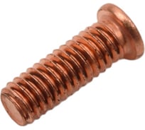 Гвозди с резьбой M4, 12 мм, FE-CU, 100 шт Blue Weld 802758