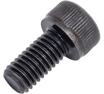 Винт M5 10 ARDEN 902051