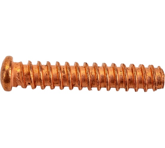 Комплект заклепок-саморезов FE-CU (100 шт.; 5x25 мм) Blue Weld 802304 1
