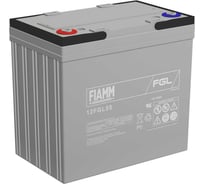 Батарея аккумуляторная 12 В, 55 Ач FIAMM 12FGL55