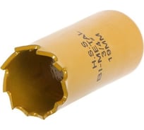 Коронка биметаллическая 19 мм, M14 ТУНДРА 7351922
