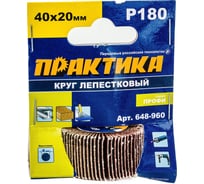 Круг лепестковый с оправкой (40х20мм; P180) ПРАКТИКА 648-960