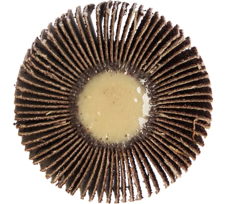 Круг лепестковый с оправкой (50х15мм; P 80) ПРАКТИКА 648-991