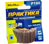 Круг лепестковый с оправкой (60х30 мм; P180) ПРАКТИКА 649-073