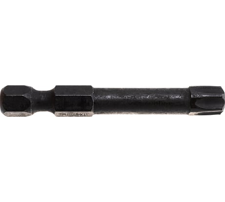 Биты ПРОФИ T40 (2 шт; 50 мм; 1/4") Зубр 26025-40-50-S2