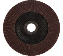 Круг шлифовальный лепестковый торцевой PROFI (150х22.2 мм; P60; тип КЛТ 1) STAYER 36581-150-060