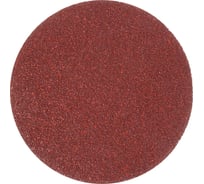 Круг абразивный на велюровой основе P100, 5 шт, 125 мм Toolberg 2205144 Лк-00014094