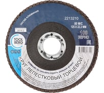Круг лепестковый торцевой 125x22 мм, Р100, оксид алюминия Toolberg 2213210 Лк-00003390