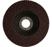 Круг лепестковый торцевой 115x22 мм, Р40, оксид алюминия Toolberg 2213140 Лк-00003382