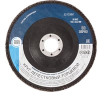 Круг лепестковый торцевой 150x22 мм, Р80, оксид алюминия Toolberg 2213380 Лк-00003394