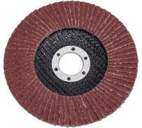 Круг лепестковый торцевой 125x22 мм, Р80, оксид алюминия Toolberg 2213290 Лк-00003389