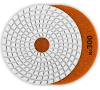 Алмазный гибкий шлифовальный круг для мокрого шлифования ЗУБР 125 мм, №300 29867-300