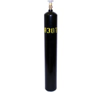Баллон азотный 10 л, новый РИФ DK.1100.12459