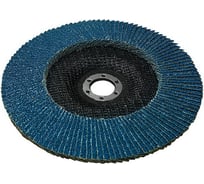 Круг лепестковый шлифовальный Кратон 125 мм P100-Z 1 13 05 019