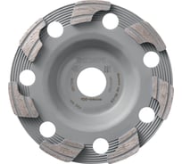 Чашка алмазная шлифовальная универсальная P DG-CW 2 шт, 100х22.2 мм HILTI 2238588