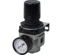 Регулятор с манометром 2500 л/мин ar3000-1/4 NBPT 57254