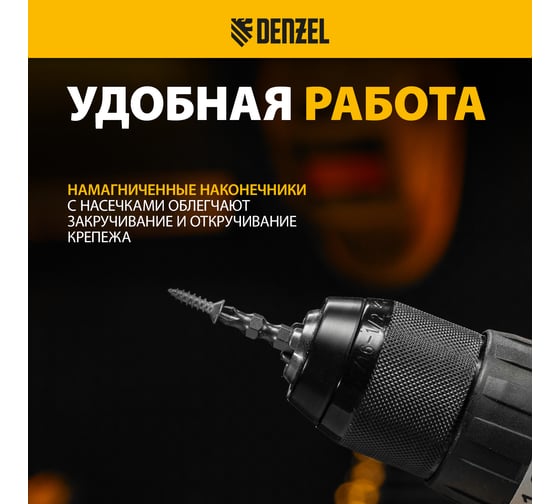 Набор бит двухсторонних PH2-PZ2, 45 мм, сталь S2, 10 шт Denzel 11675