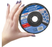 Круг шлифовальный лепестковый (125х22.2 мм, P400, КЛТ2) 61007 МЕГЕОН к0000038844