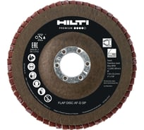 Лепестковый диск AF-D FT SP 125х22.2 мм, P60, 10 шт HILTI 2243371