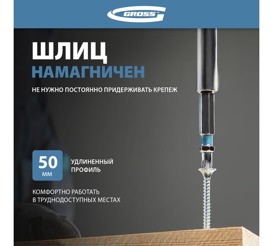 Набор бит PZ2х50, сталь S2, 10шт GROSS 11345