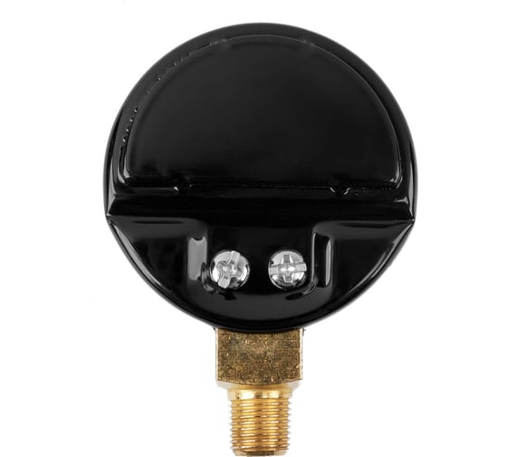 Манометр 25 МПа, черный, углекислота, 1/8" NPT ПТК 00000041919