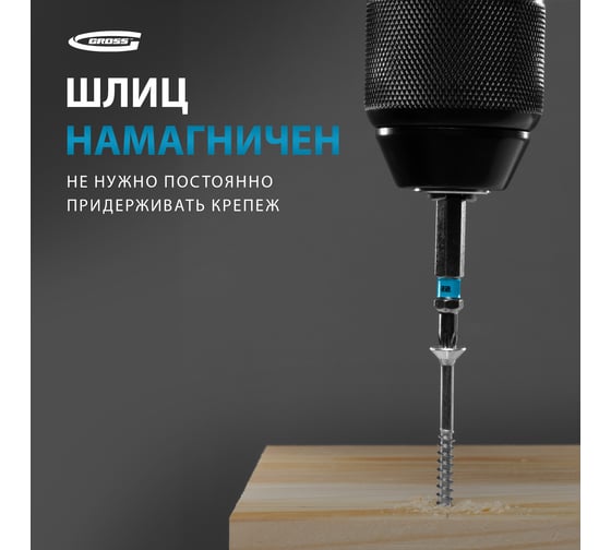 Набор бит TORX (Т10; 50 мм, сталь S2) 10 шт. GROSS 11468