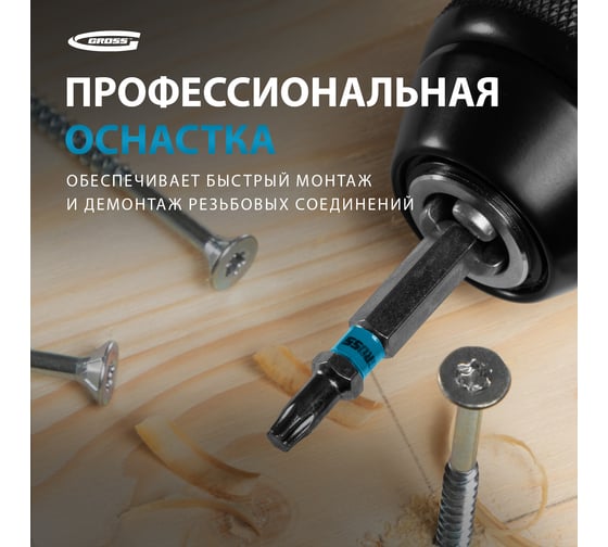 Набор бит TORX (Т10; 50 мм, сталь S2) 10 шт. GROSS 11468