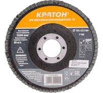 Круг лепестковый шлифовальный (115х22.2 мм; Р100) Кратон 1 13 04 004