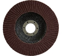 Круг лепестковый торцевой 125x22 мм, Р80, оксид алюминия Korvus 2223280 Лк-00013484