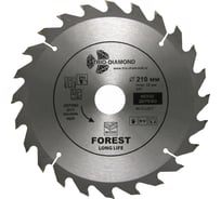 Диск пильный TRIO-DIAMOND 210x32/30x24Т Forest Long Life FLL817