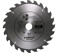 Диск пильный TRIO-DIAMOND 250x32x24Т Forest Long Life FLL821