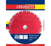 Диск пильный по дереву Pro (250х30 мм; 24Т) Felisatti 934760000